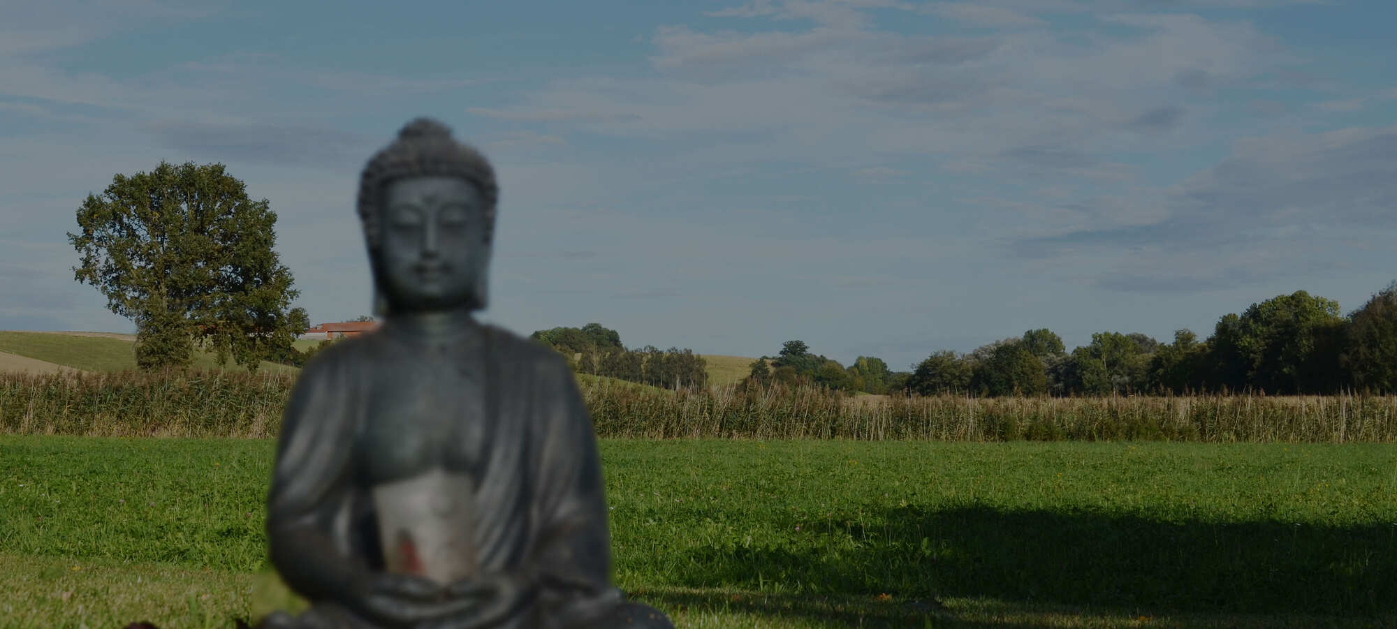 Natürlich Yoga für alle
Raus in die Natur!