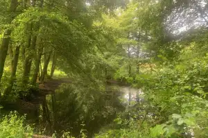 Natur