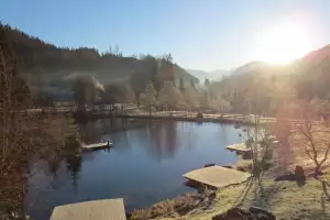 Schwimmteich